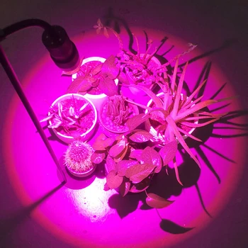 Sėjinukai Auga Šviesos Pilno Spektro Phytolamp ES/JAV Plug Power LED Augti Žiburiai Fito Lempa Namų Patalpų Augalai, Gėlės Auga Palapinė